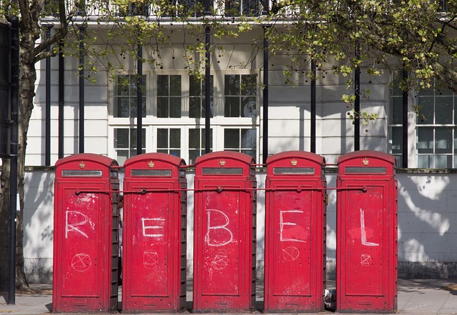 https://pixabay.com/de/photos/aussterben-rebellion-xr-4876009/